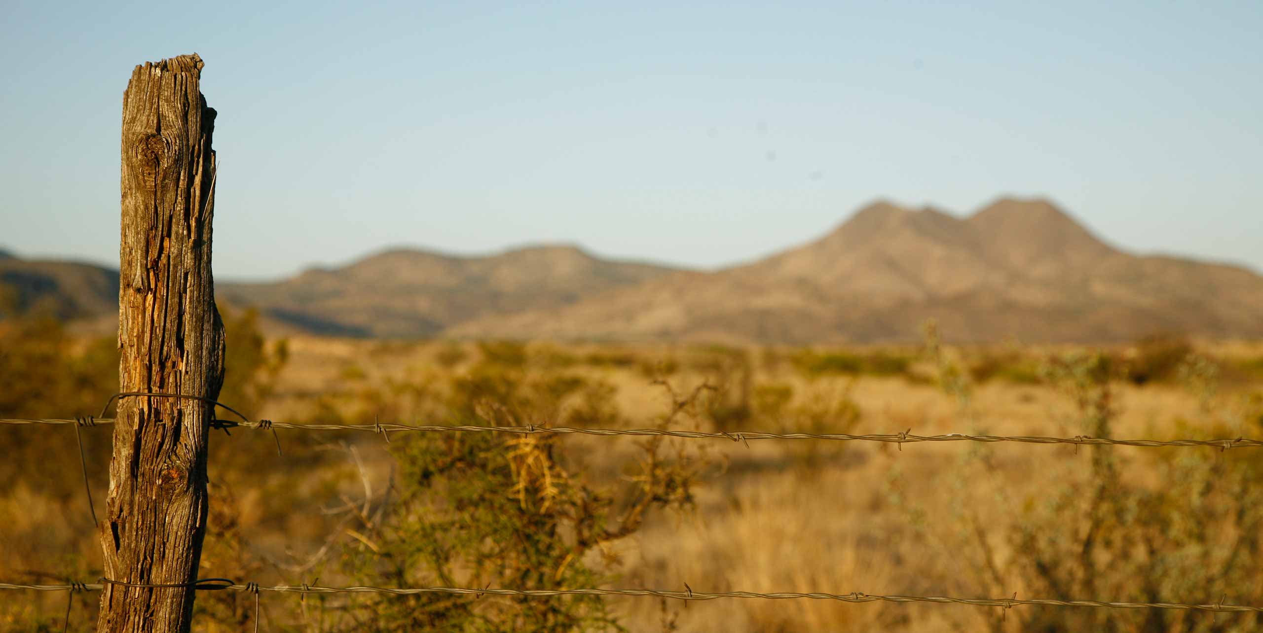 Experience Reata's Legendary Texas Cuisine, inspired by the fresh, quality ingredients of CF Ranch.