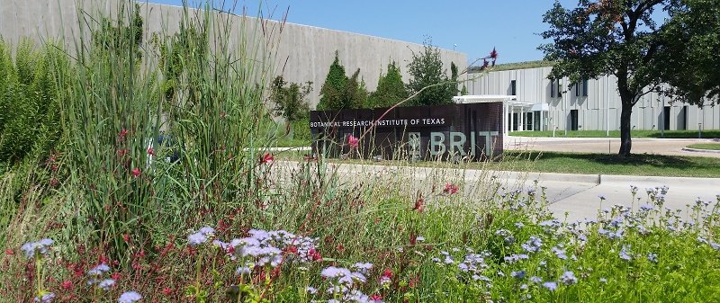 Exploring the Wonders of Nature: Your Guide to the Botanical Research Institute of Texas